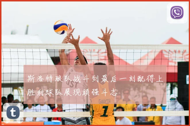 斯洛特狼队战斗到最后一刻配得上胜利球队展现顽强斗志