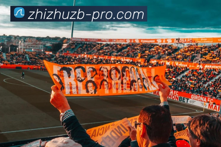 蜘蛛直播:引领数字化竞技内容传播与高清交互的新标准品牌故事